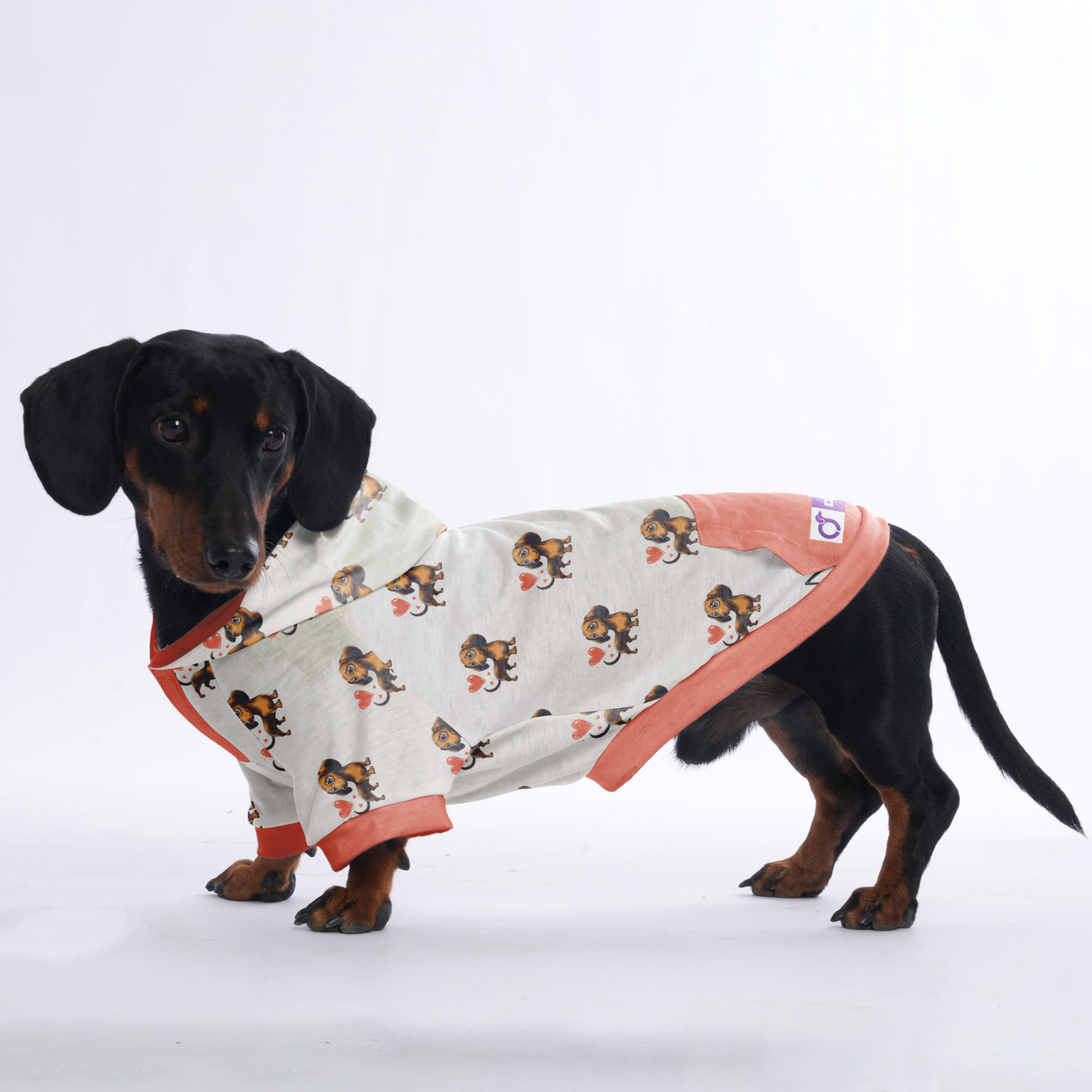 Ludwig - Hoodies for Dachshunds