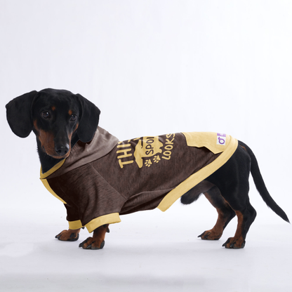 This is What Spoiled Looks Like - Hoodies for Dachshunds