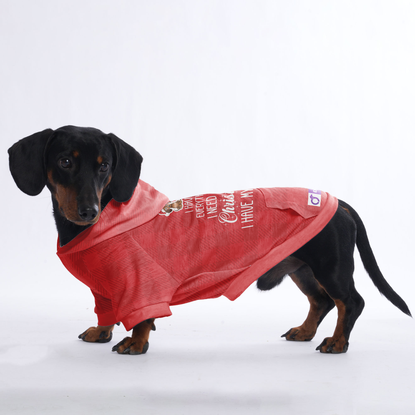 I have everything I need for Christmas. I have my human - Hoodies for Dachshunds