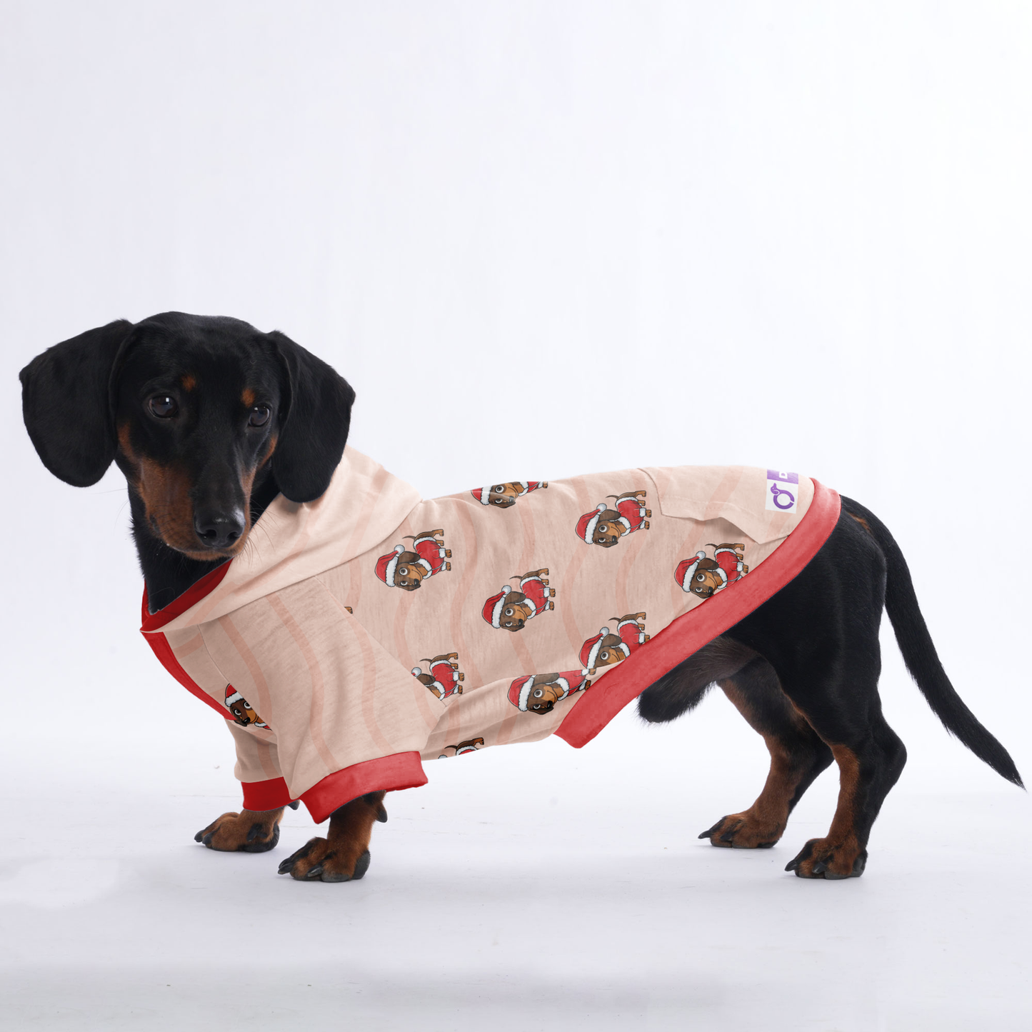 Oreo - Hoodies for Dachshunds