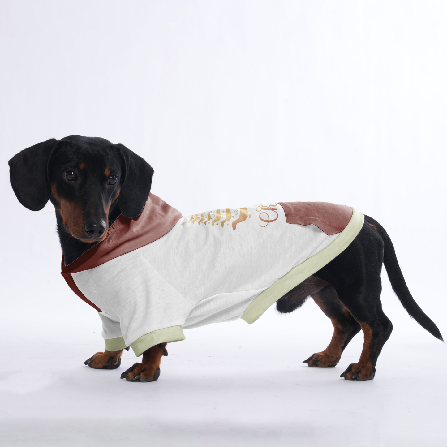 Milo - Hoodies for Dachshunds