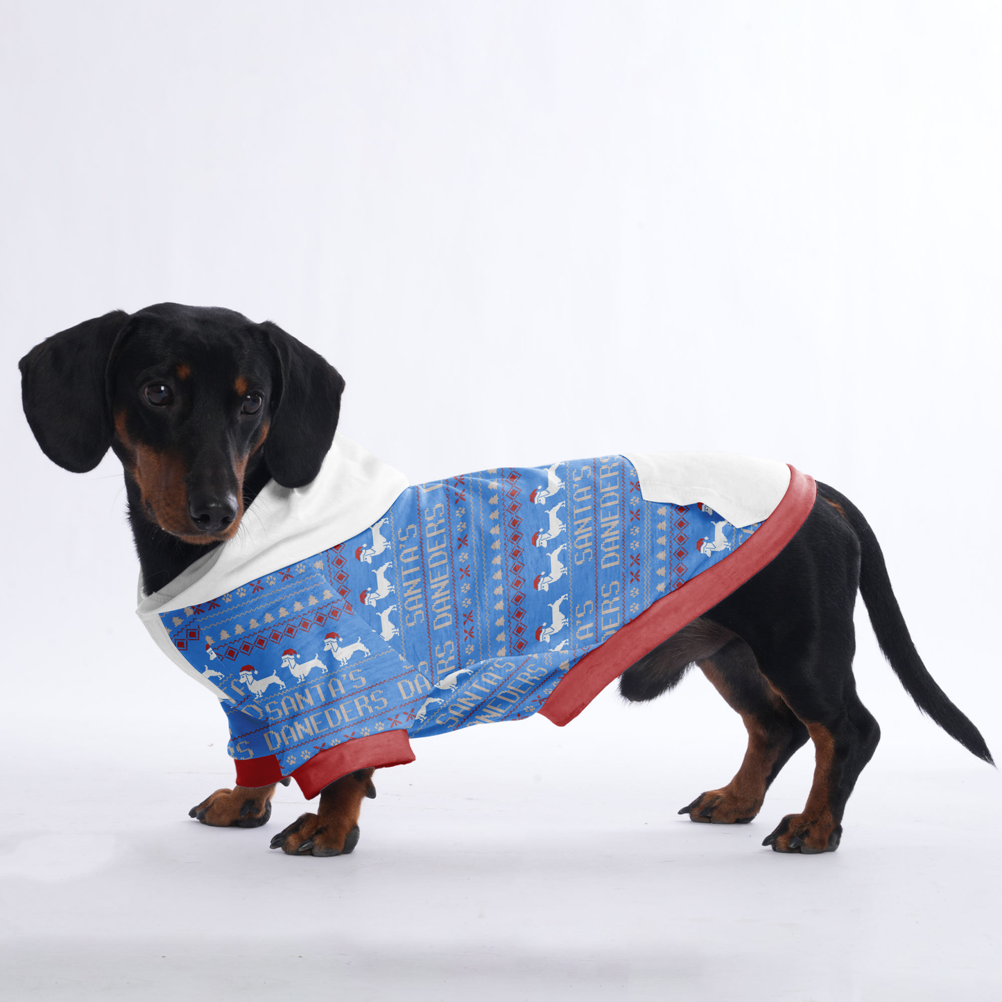 Molly - Hoodies for Dachshunds