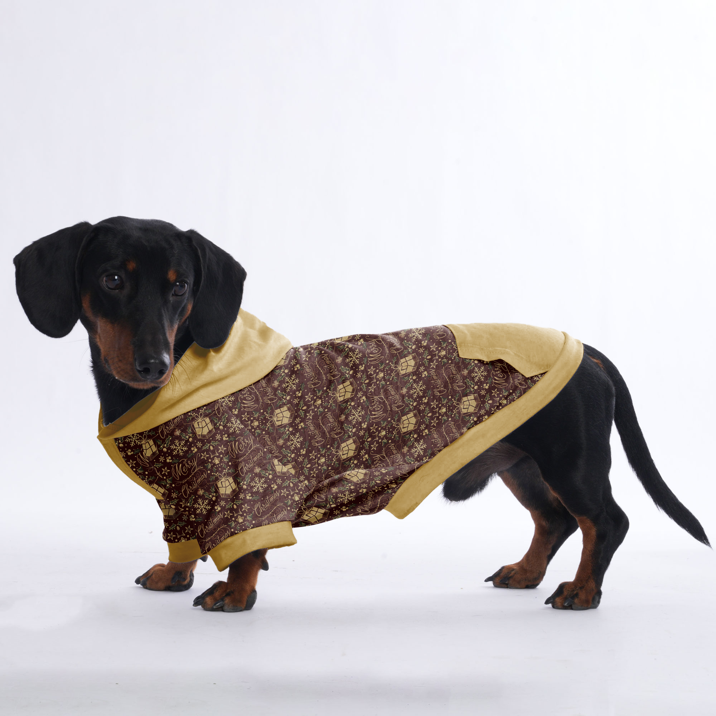 Rocky - Hoodies for Dachshunds