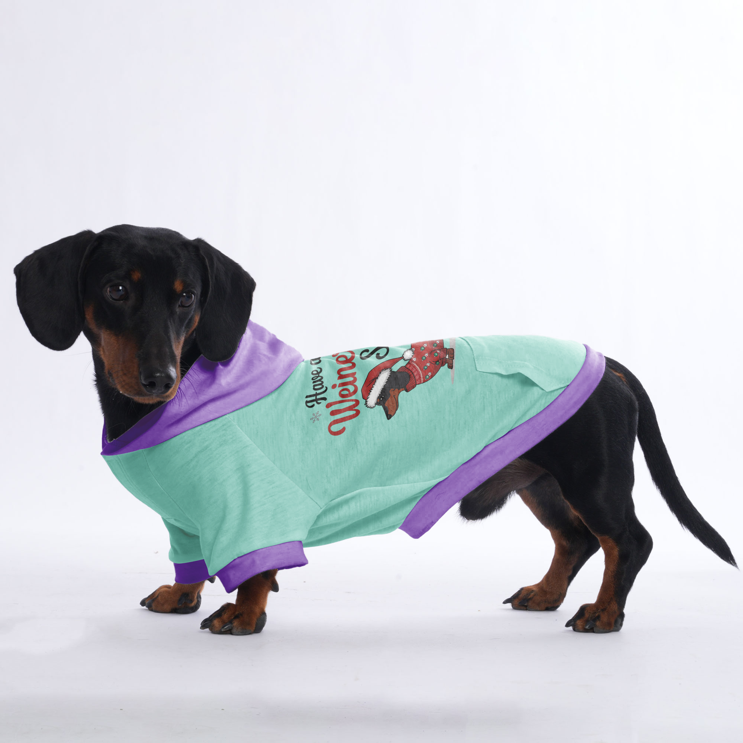 Daisy - Hoodies for Dachshunds