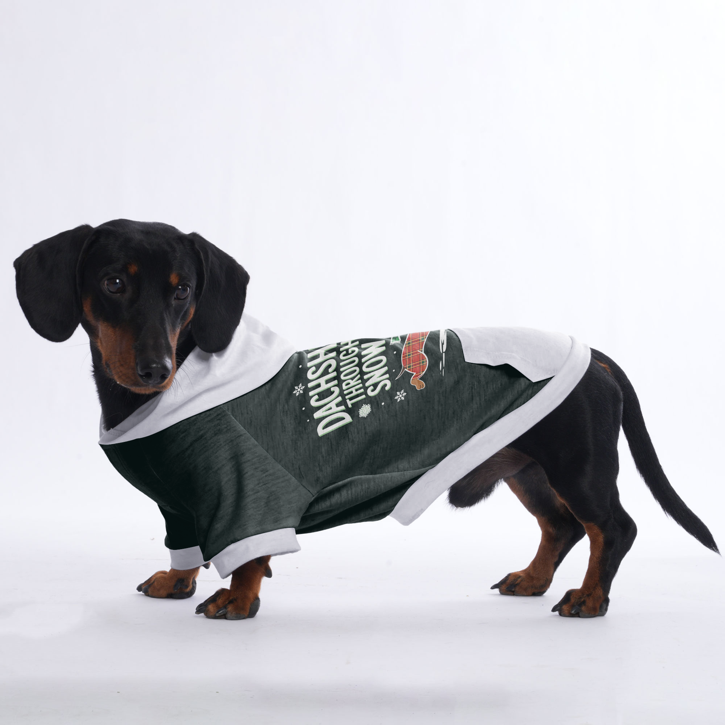 Coco - Hoodies for Dachshunds