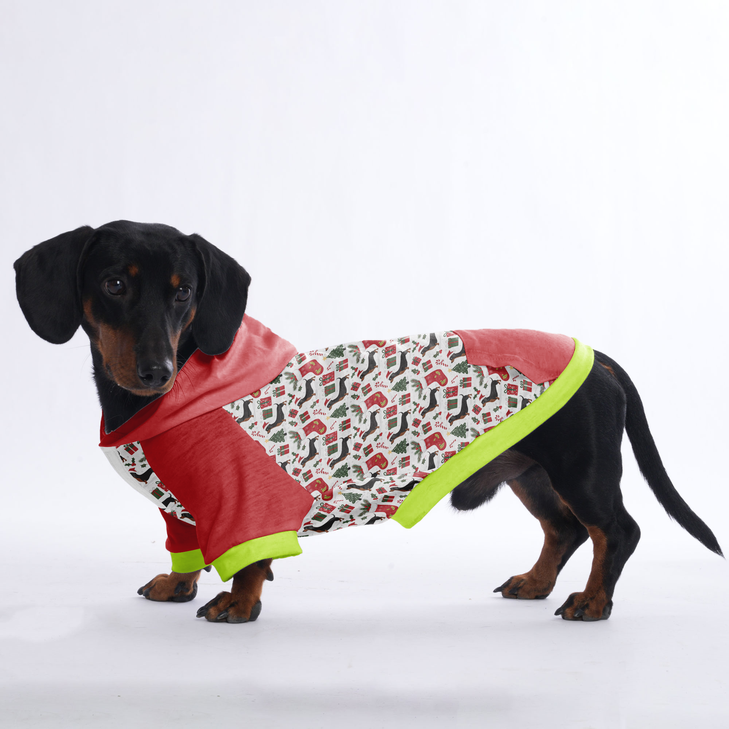 Lucy - Hoodies for Dachshunds