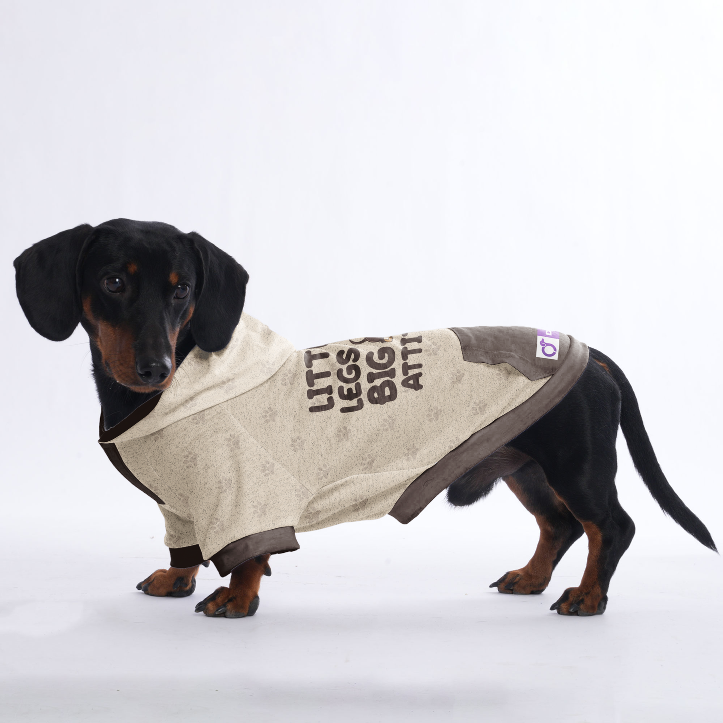 LITTLE LEGS, BIG ATTITUDE  - Hoodies for Dachshunds