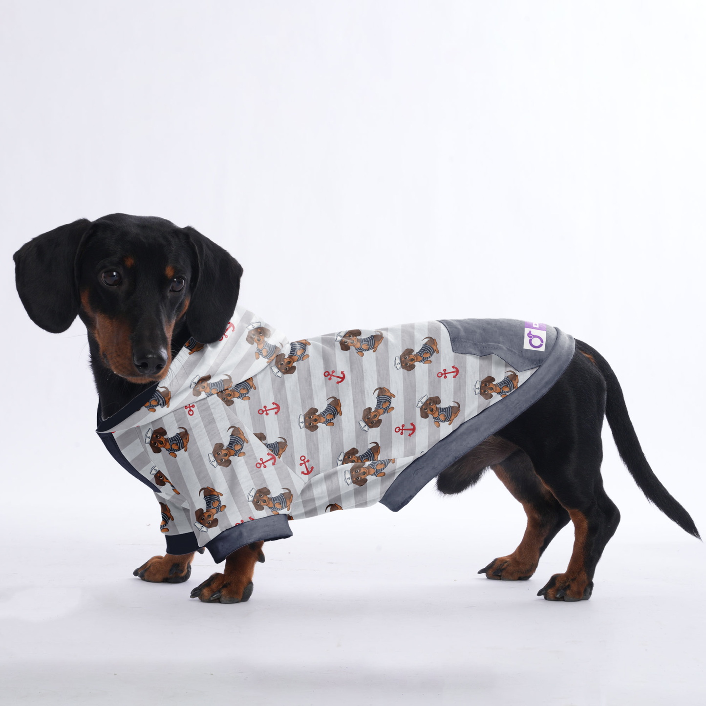 Ludwig  - Hoodies for Dachshunds