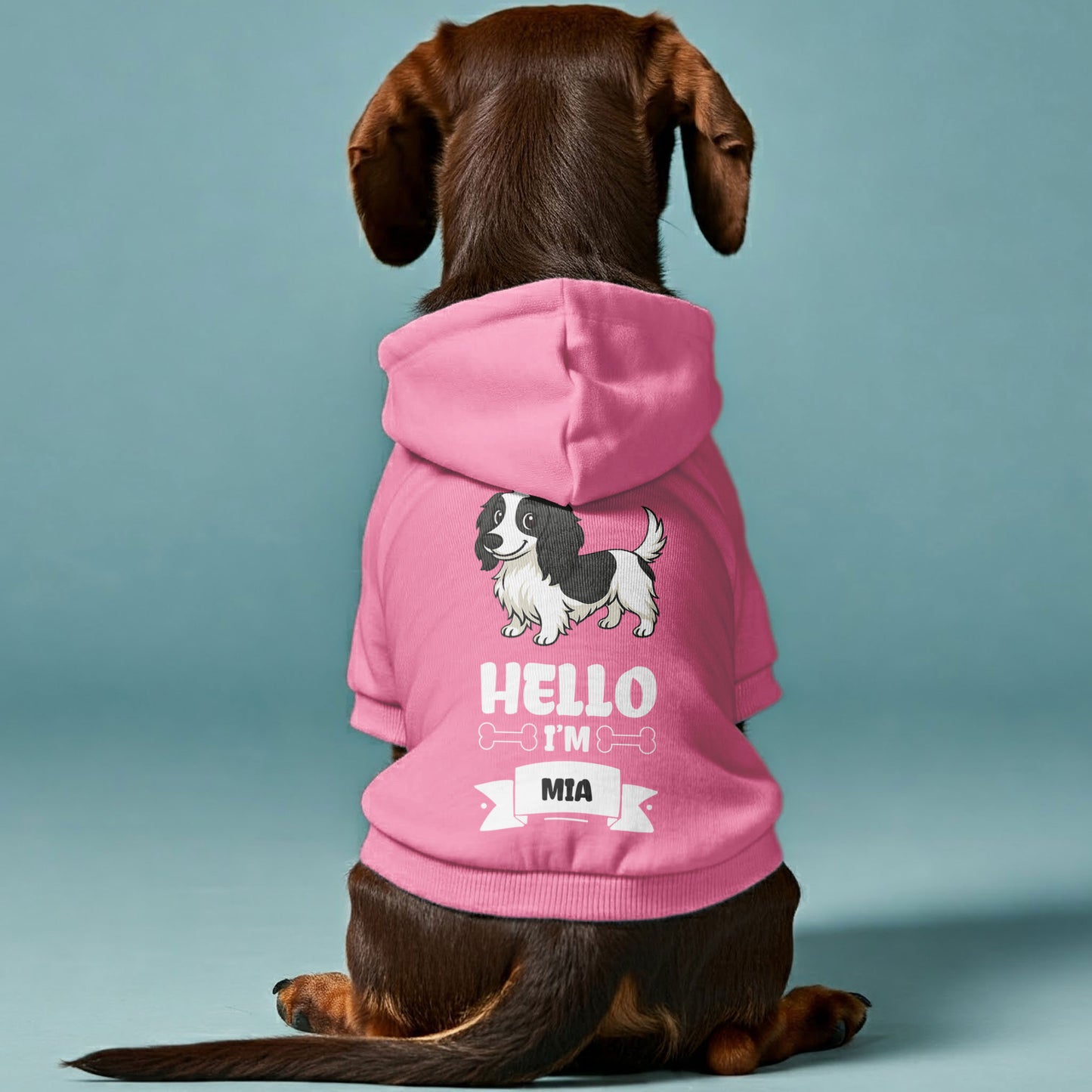 Hello – Personalized Dachshund Hoodies with Your Doxie’s Name & Clipart – Stylish, Cozy & Made from Premium 100% Cotton
