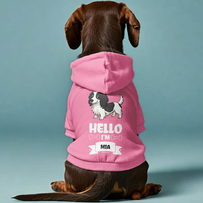 Hello – Personalized Dachshund Hoodies with Your Doxie’s Name & Clipart – Stylish, Cozy & Made from Premium 100% Cotton