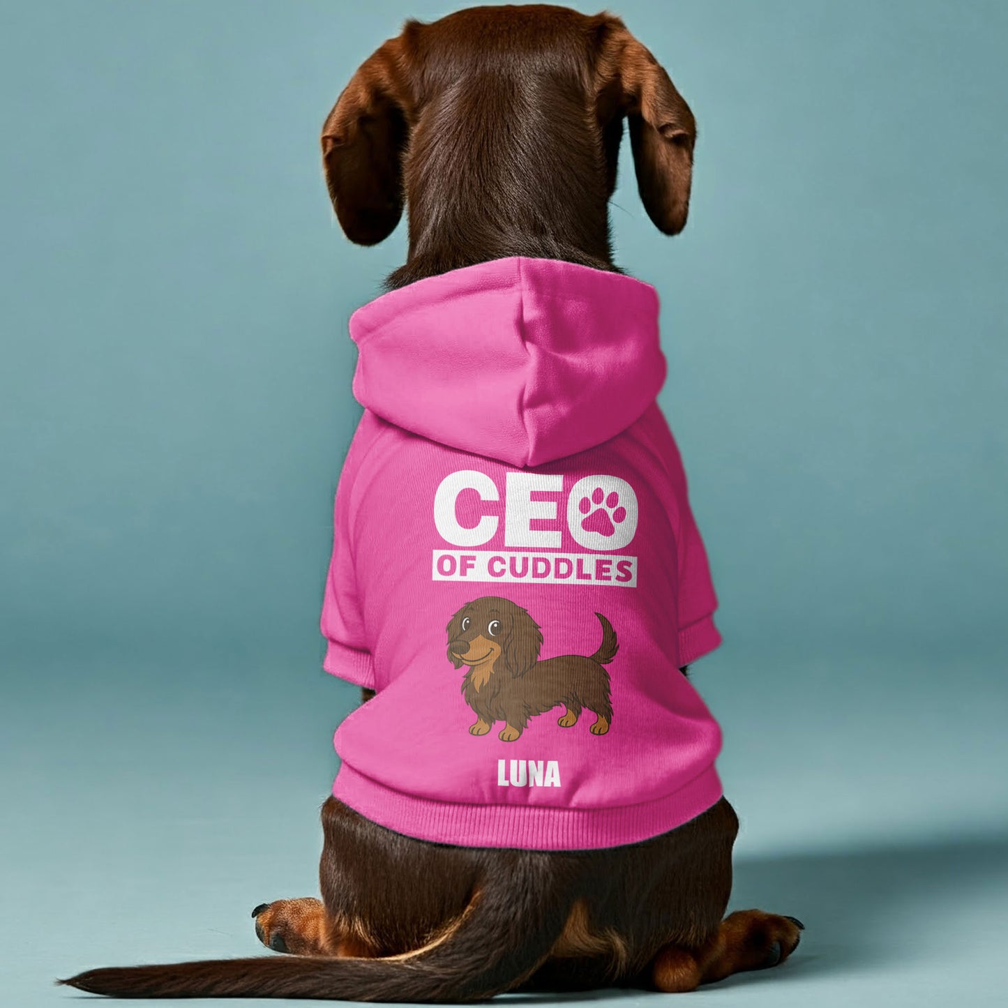 CEO of Cuddles – Personalized Dachshund Hoodies with Your Doxie’s Name & Photo or Clipart– Stylish, Cozy & Made from Premium 100% Cotton