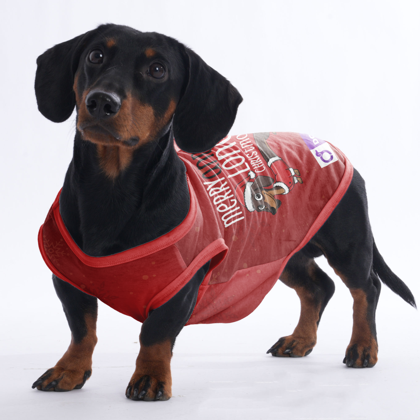 Merry and Long christmas  -  Shirt for Dachshunds