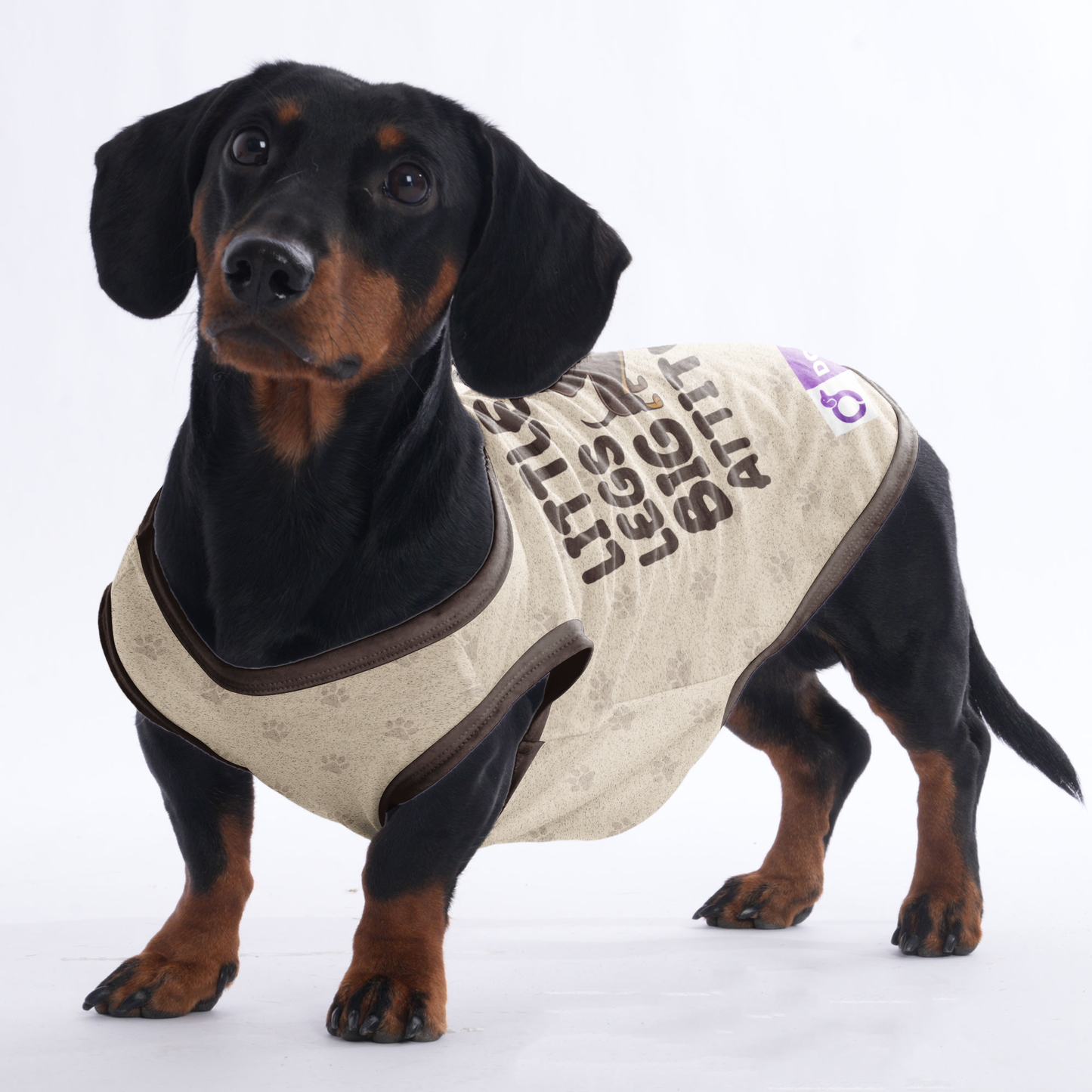 LITTLE LEGS BIG ATTITUDE  -  Shirt for Dachshunds