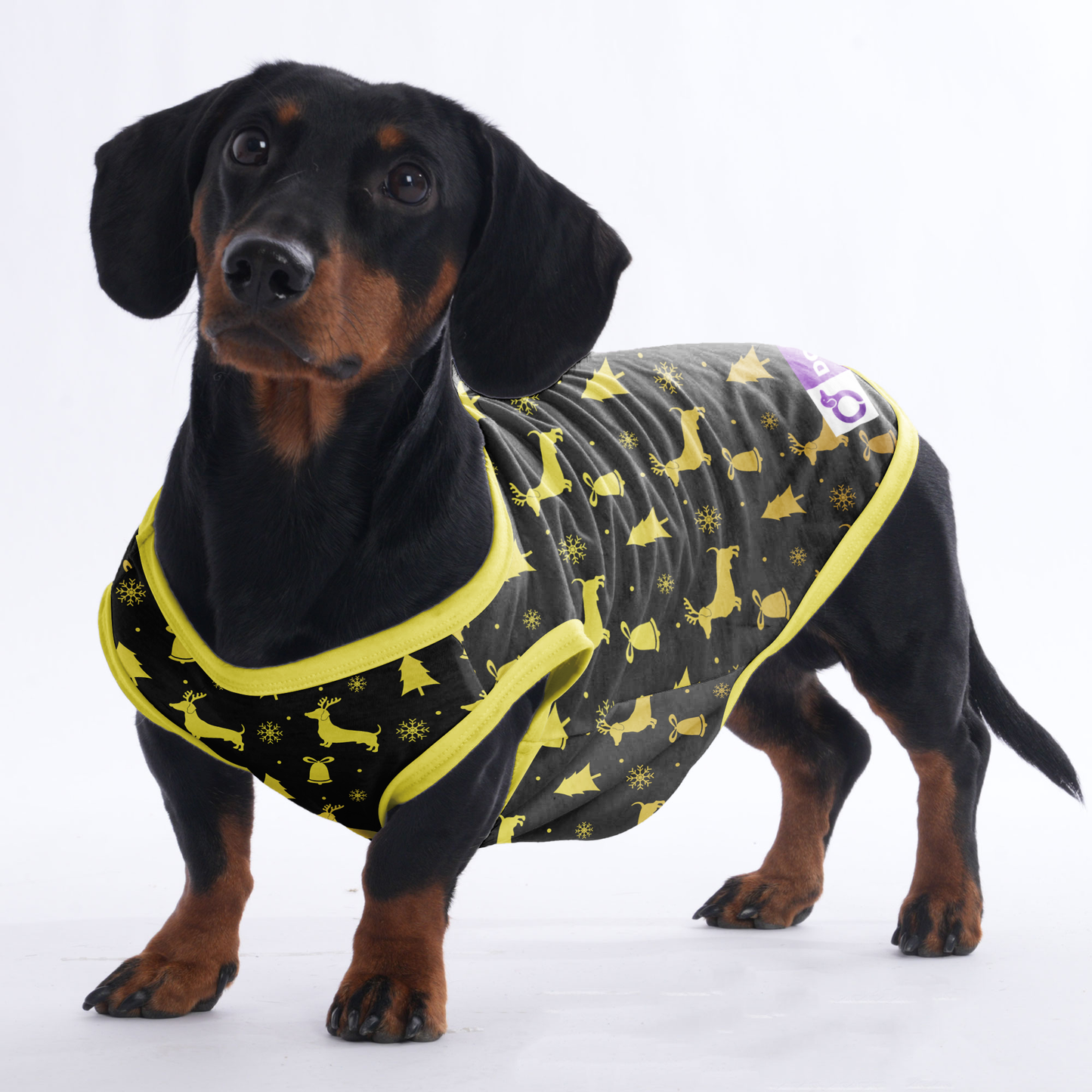 Travis -  Shirt for Dachshunds