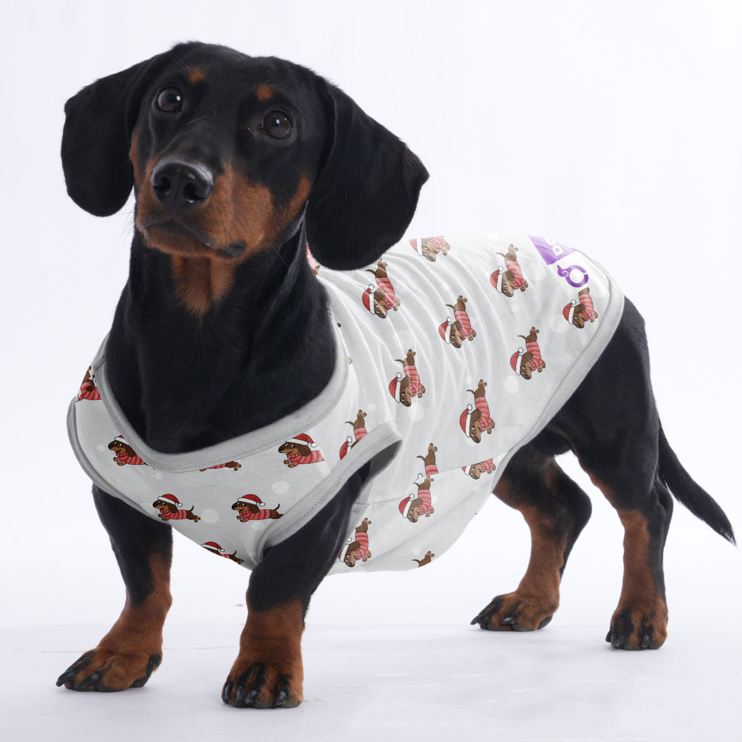 Mabel -  Shirt for Dachshunds