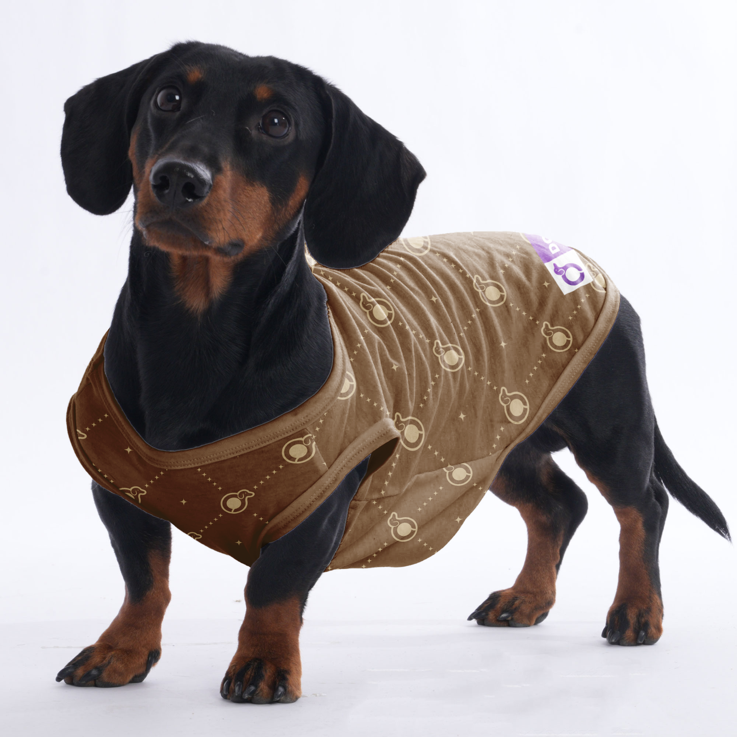 Harris  -  Shirt for Dachshunds