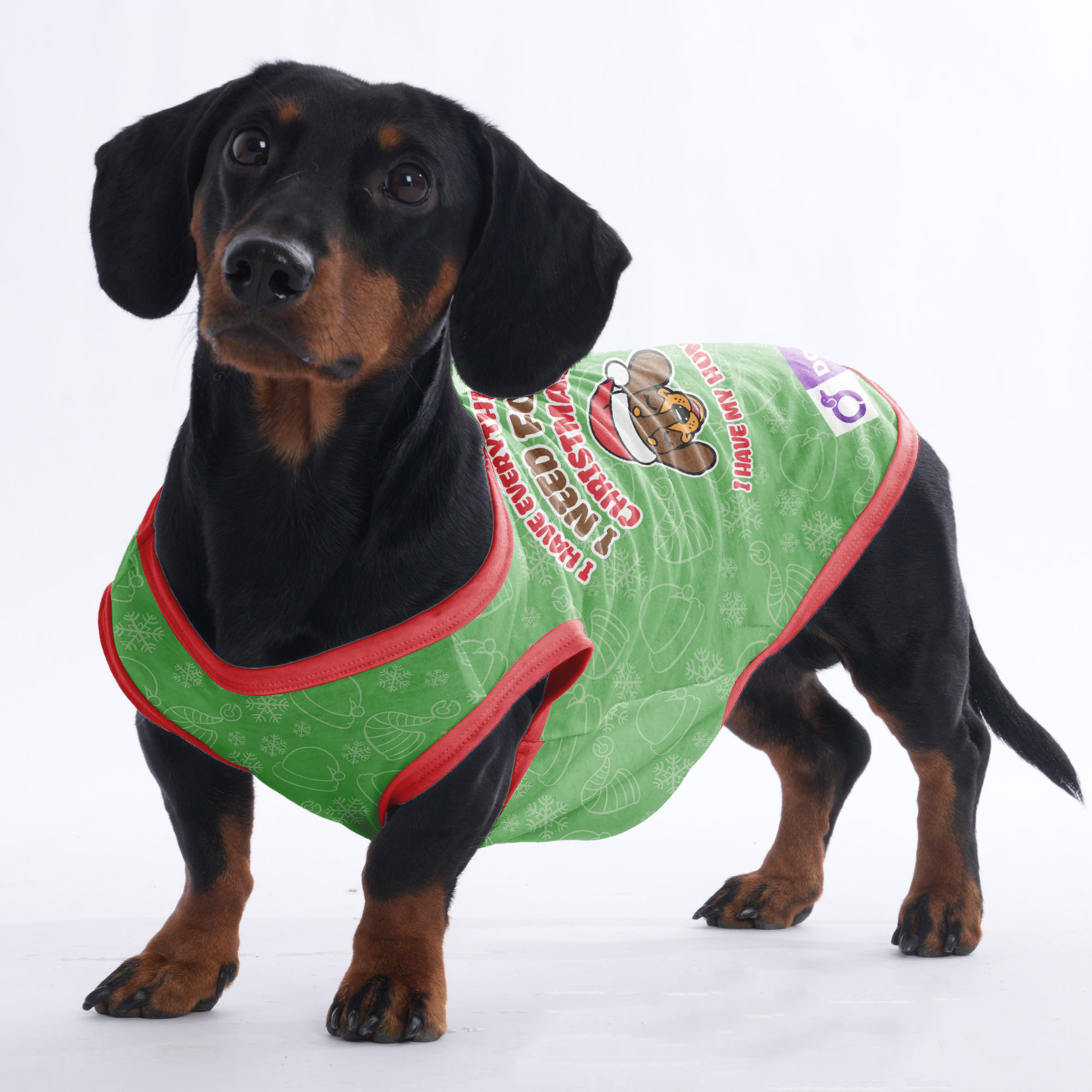 I HAVE EVERYTHING I NEED FOR CHRISTMAS, I HAVE MY HUMAN -  Shirt for Dachshunds