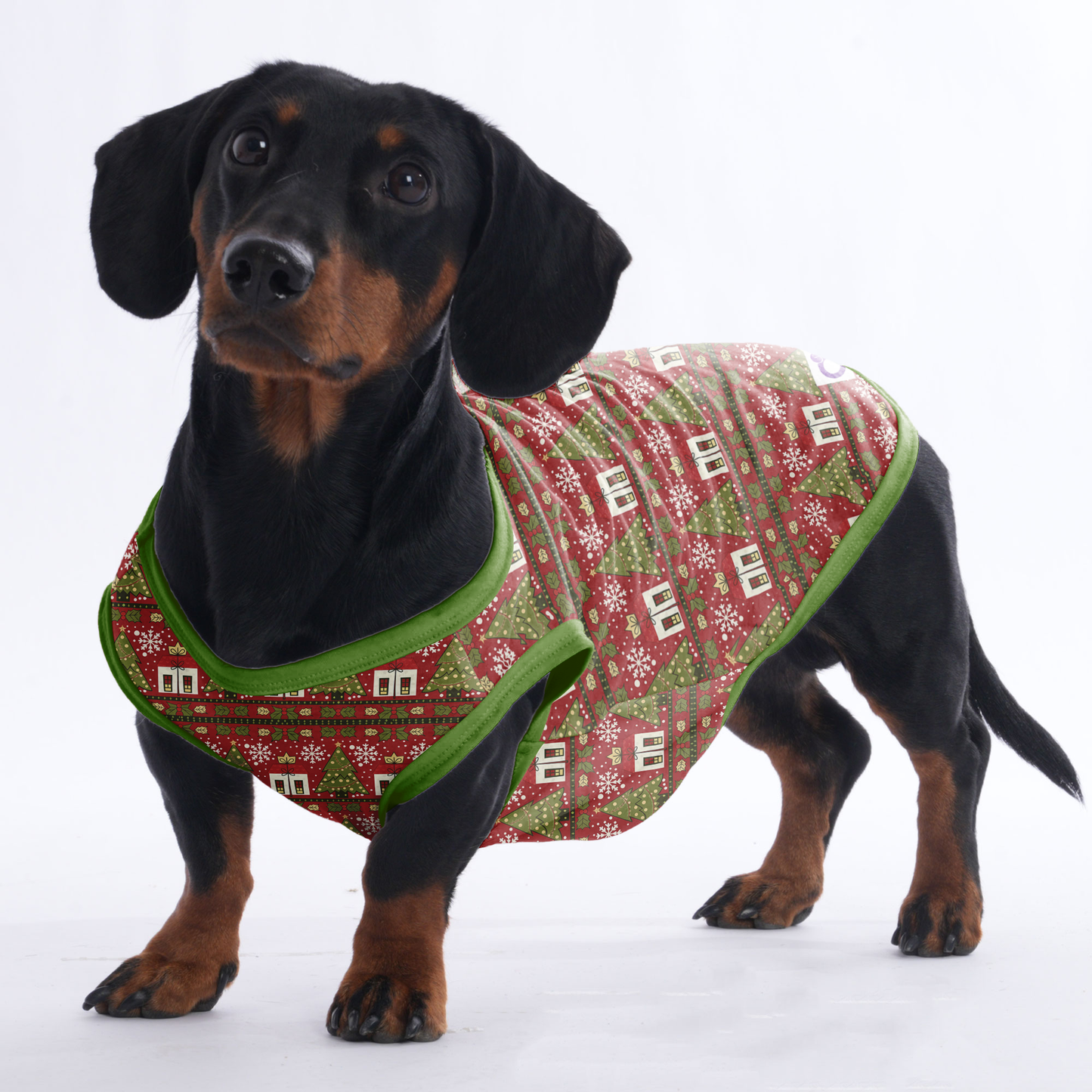 Cooper -  Shirt for Dachshunds