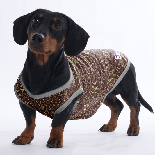 Lola -  Shirt for Dachshunds