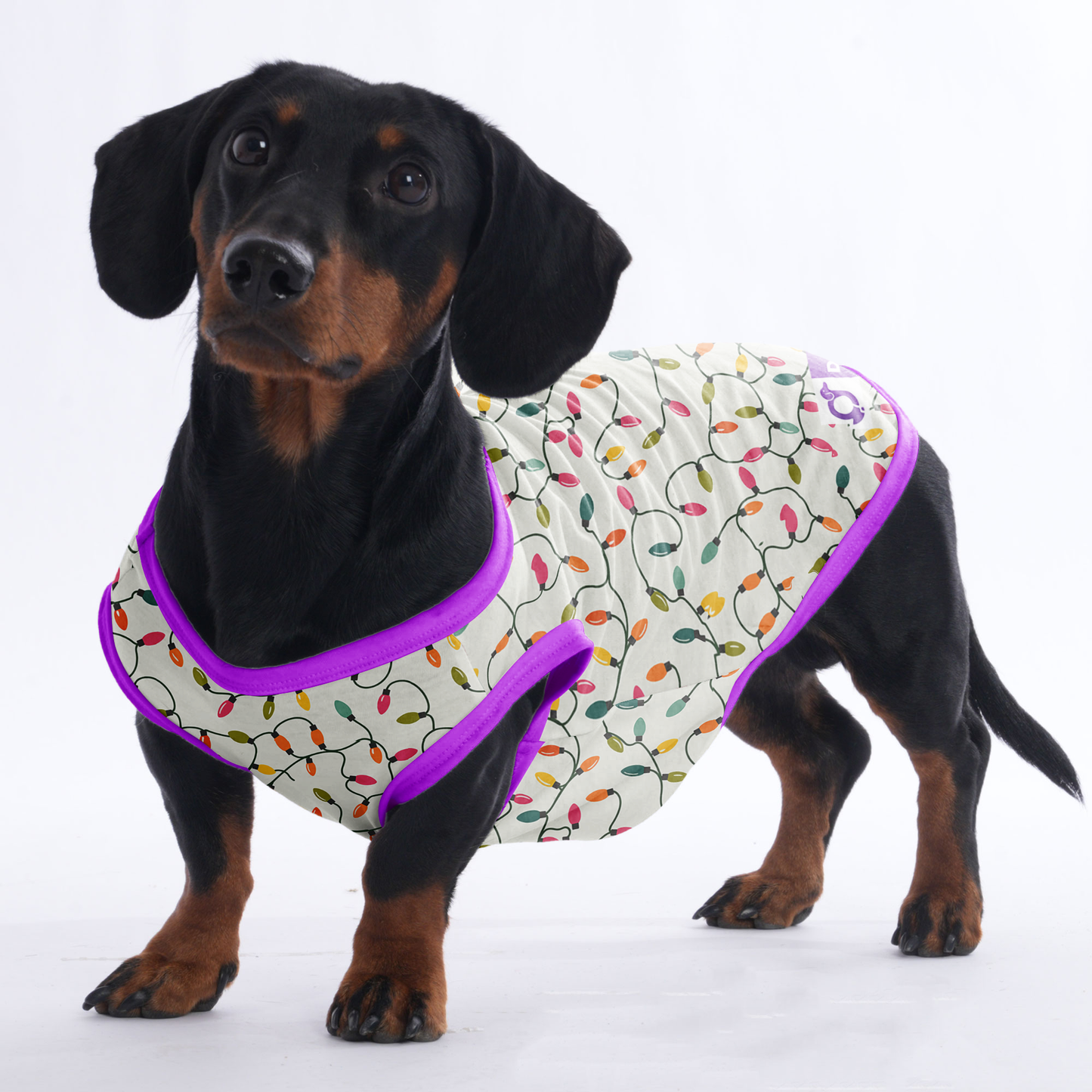 Rocky -  Shirt for Dachshunds