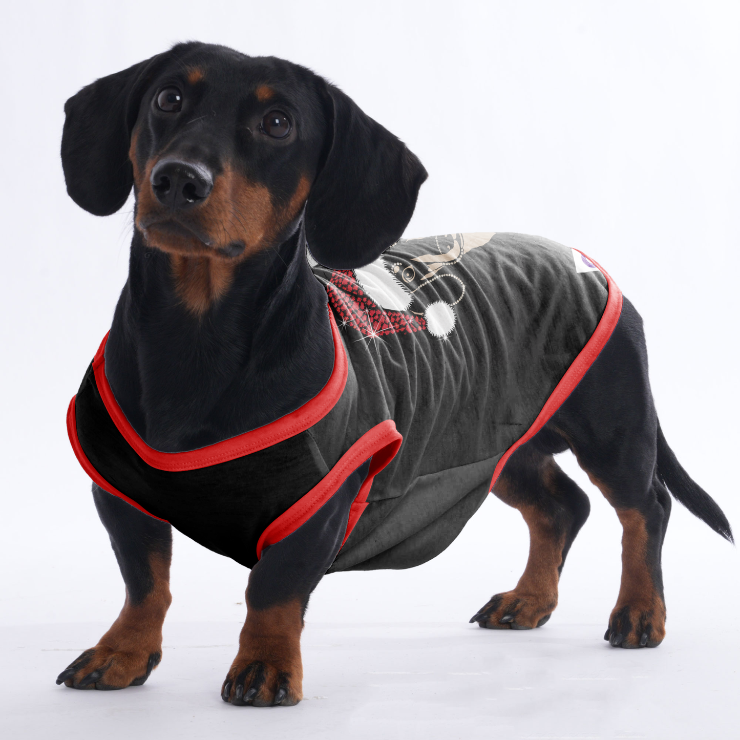 Luna -  Shirt for Dachshunds