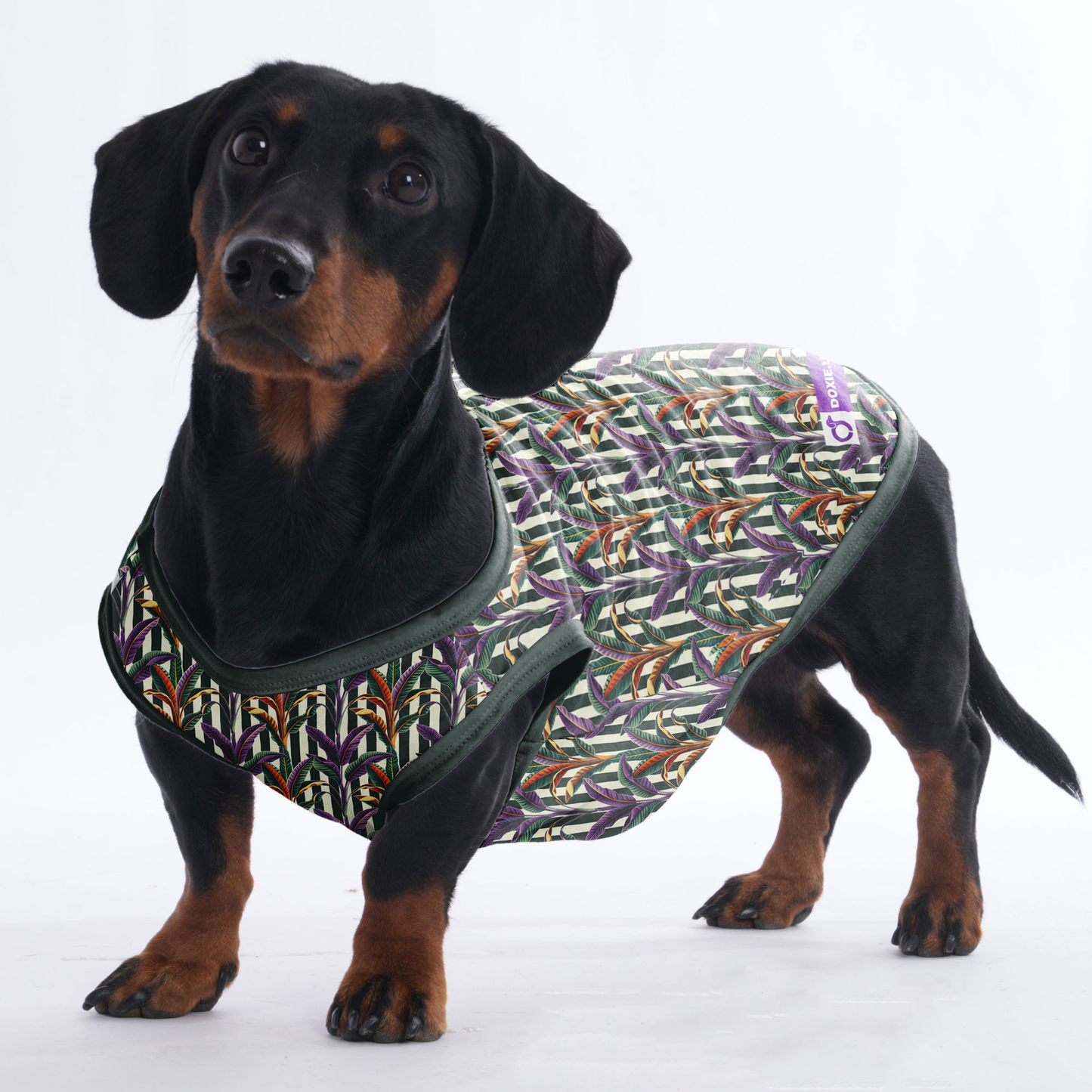 Poppy -  Shirt for Dachshunds