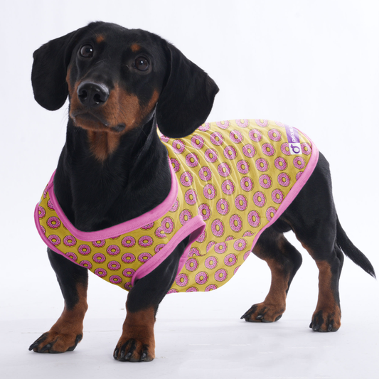 Lily -  Shirt for Dachshunds