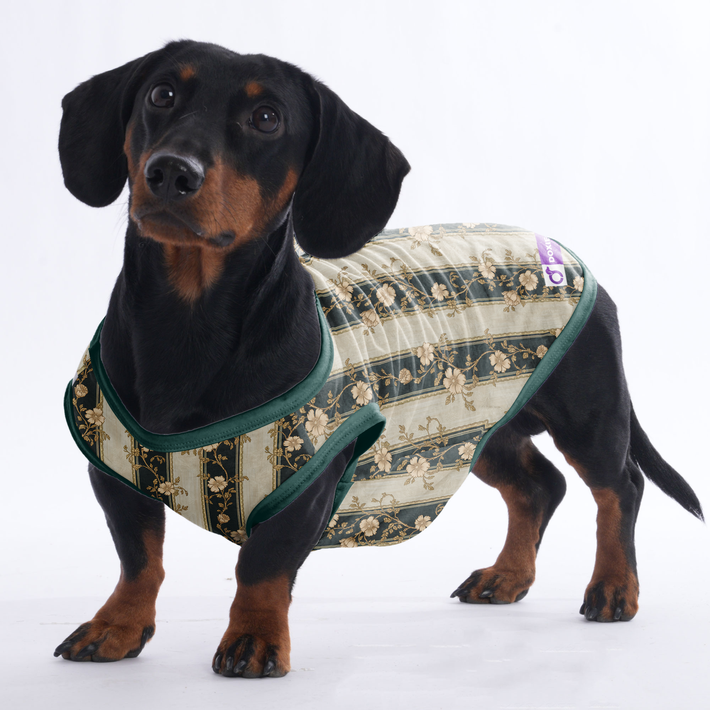 Henry -  Shirt for Dachshunds