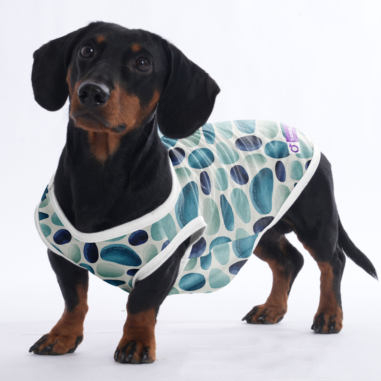 Koda -  Shirt for Dachshunds