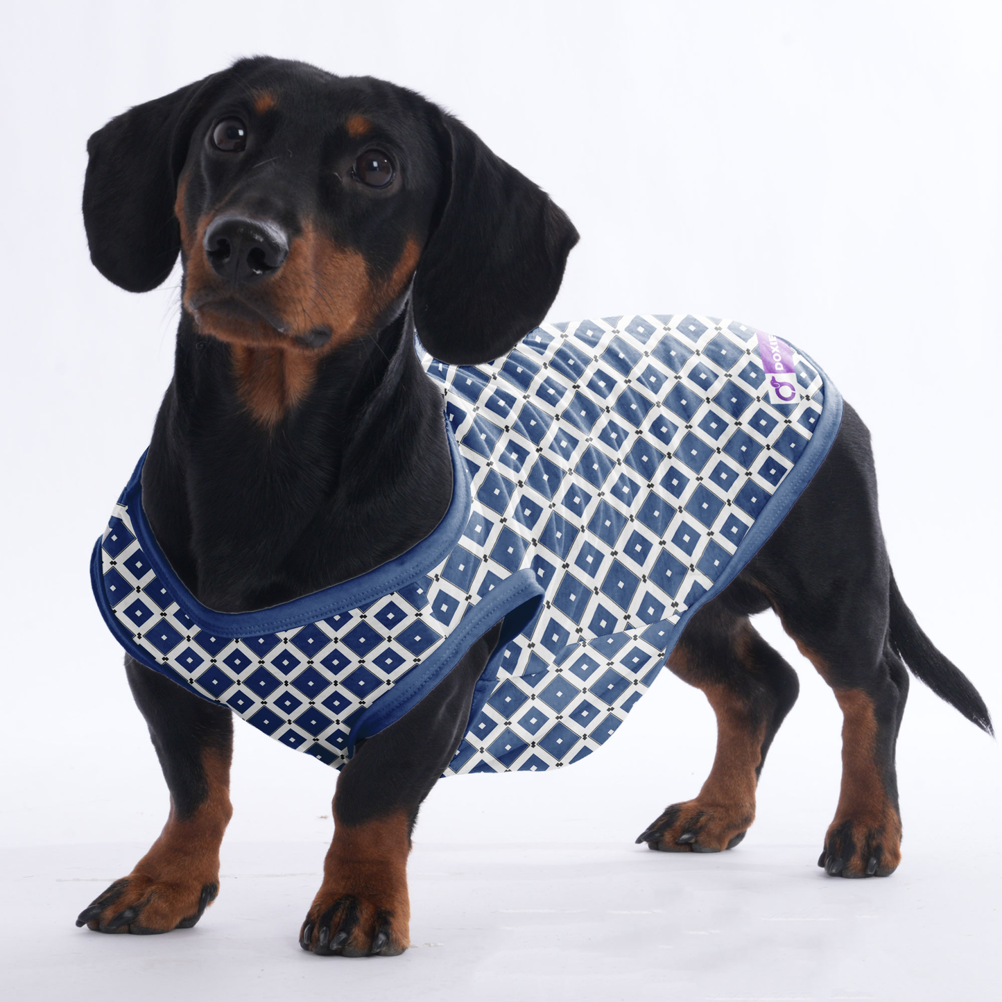 Willow -  Shirt for Dachshunds