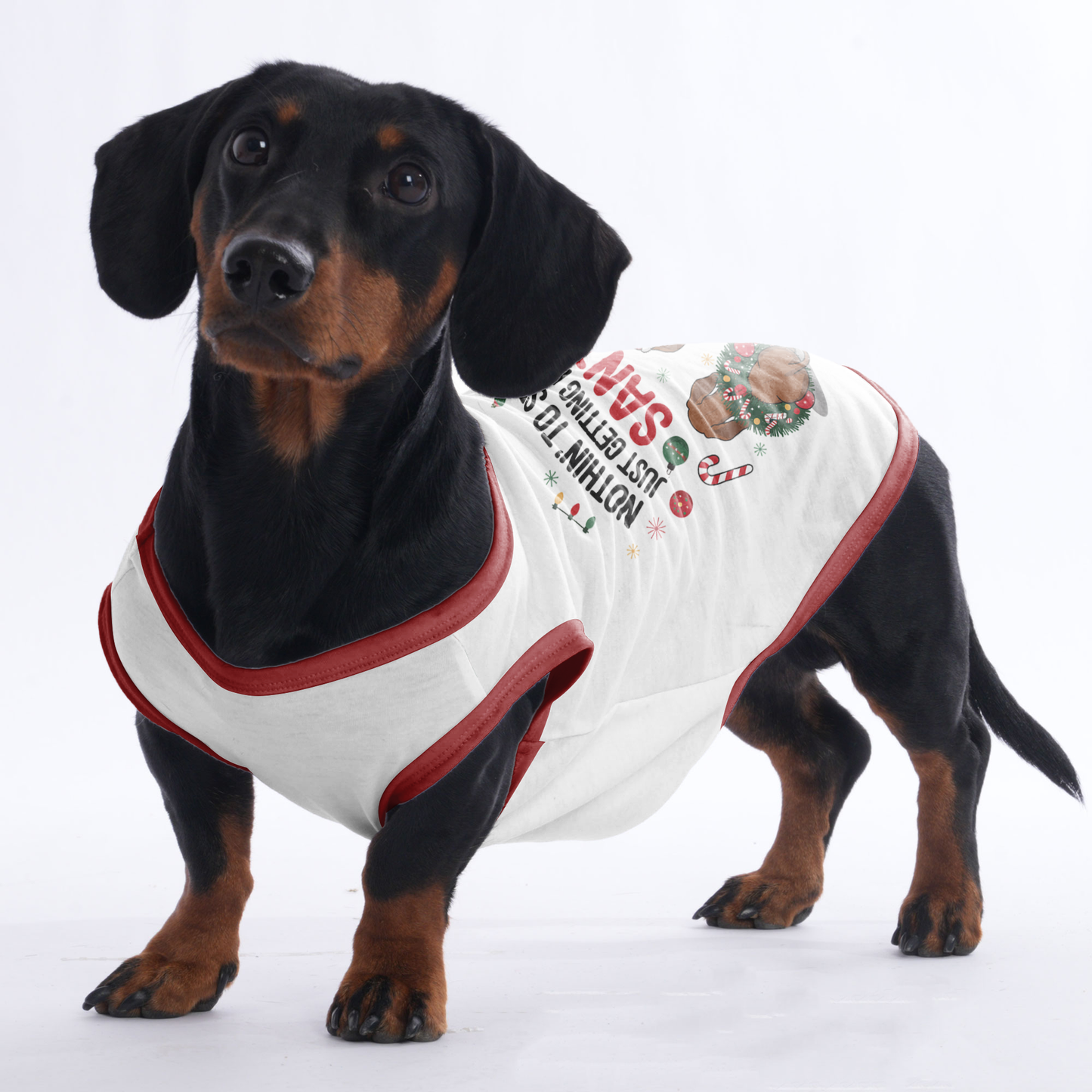 Buddy -  Shirt for Dachshunds