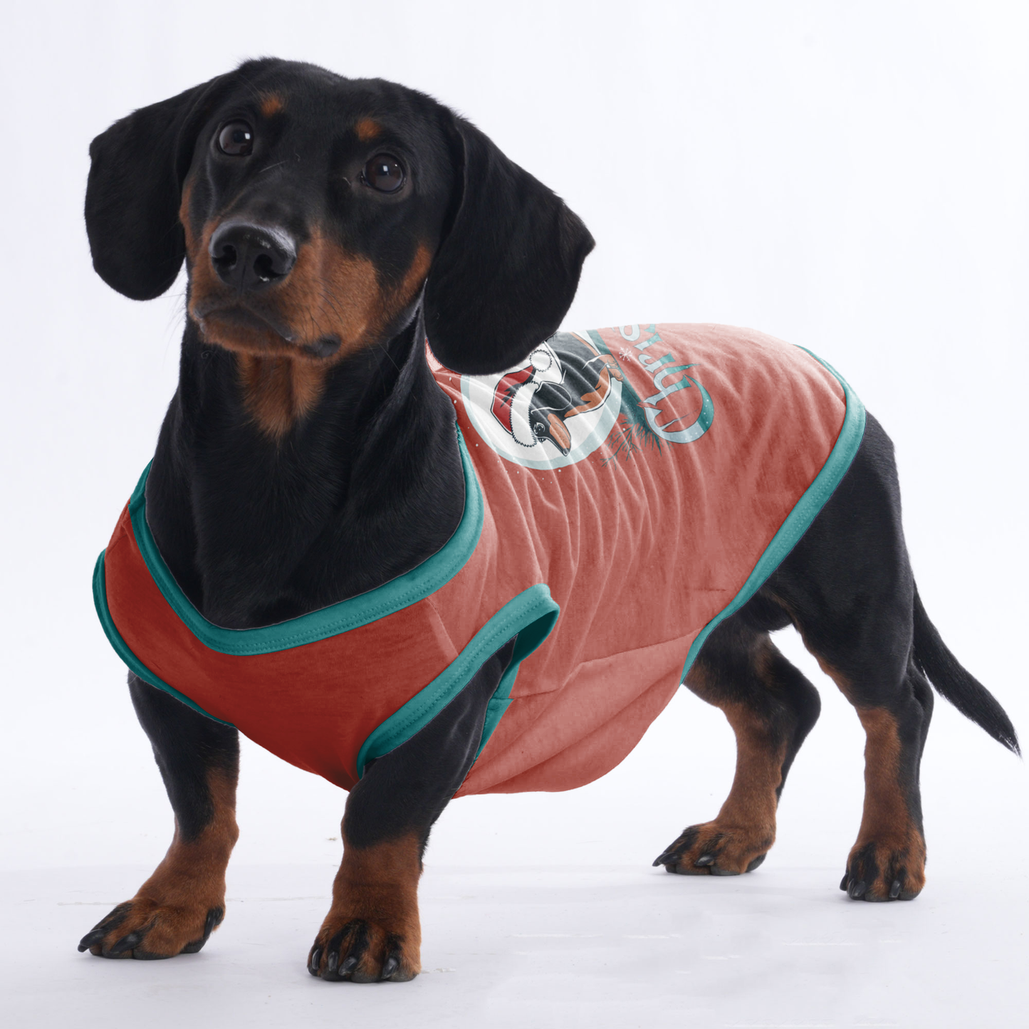 Milo -  Shirt for Dachshunds