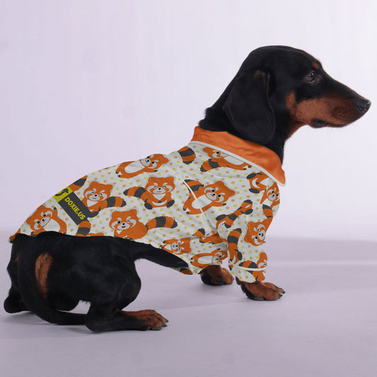 Kiki -  Pajamas for Dachshund