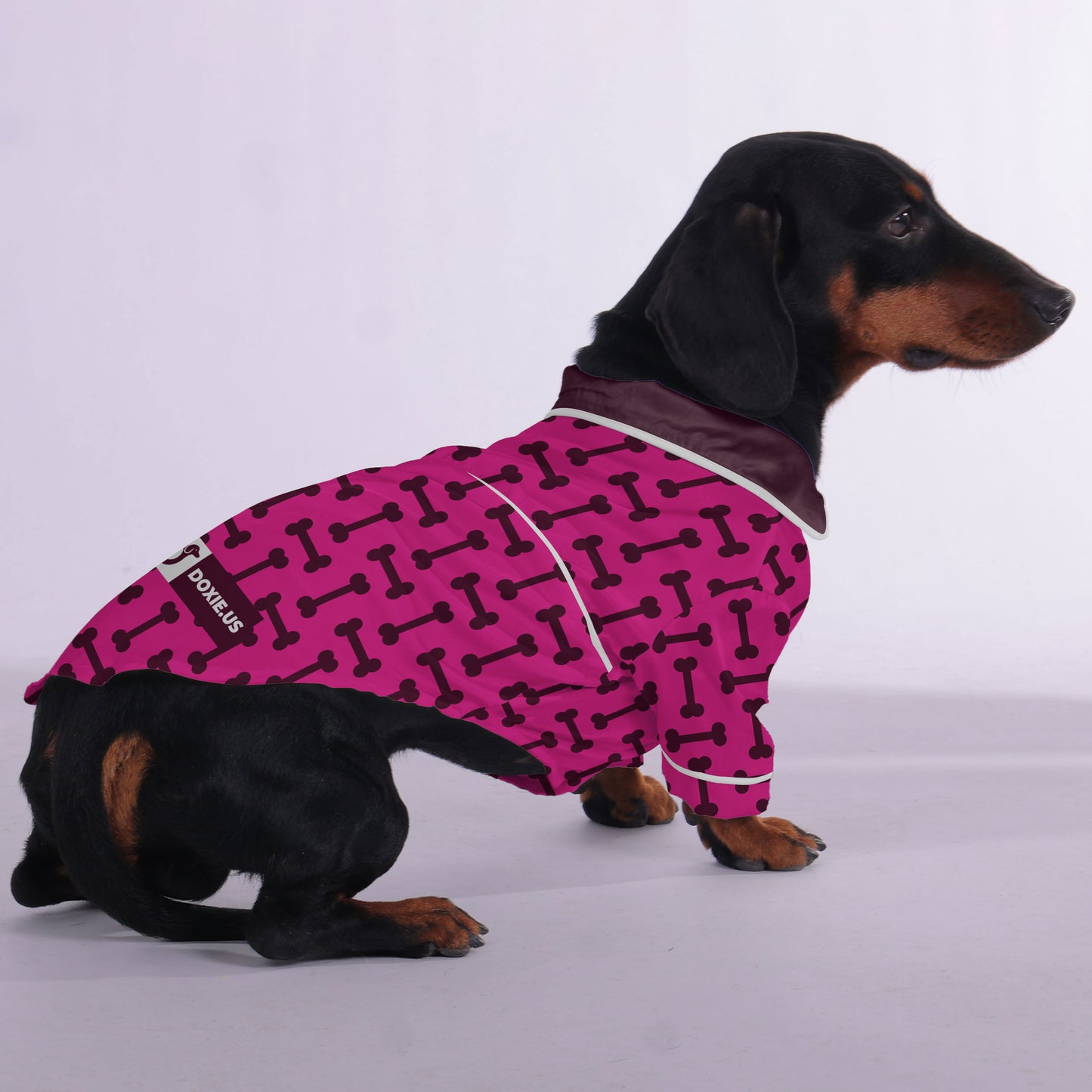 Gilbert -  Pajamas for Dachshund