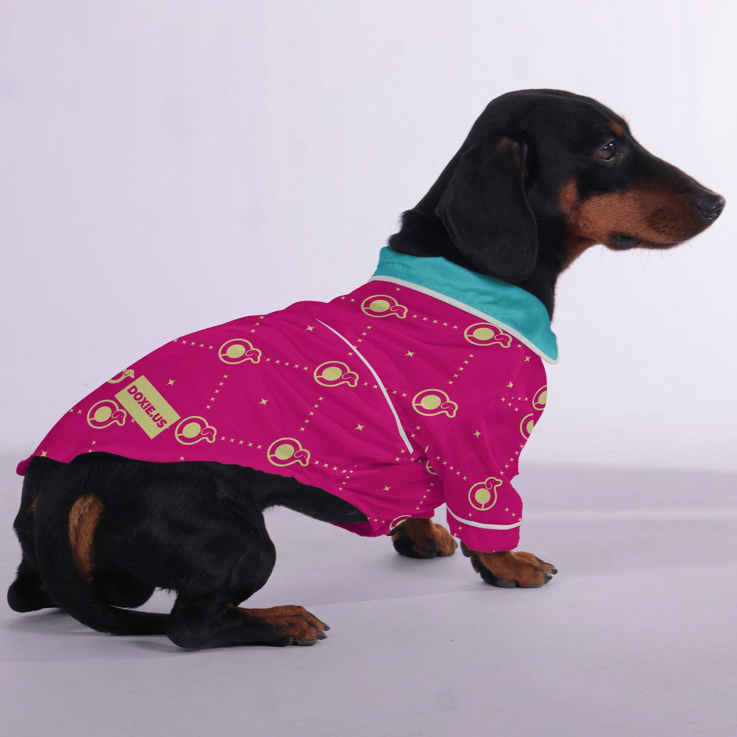 Angel  -  Pajamas for Dachshund