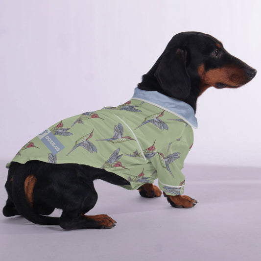 Ray -  Pajamas for Dachshund