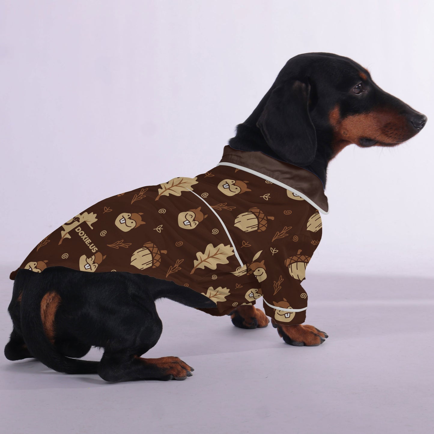 Carly - Pajamas for Dachshund