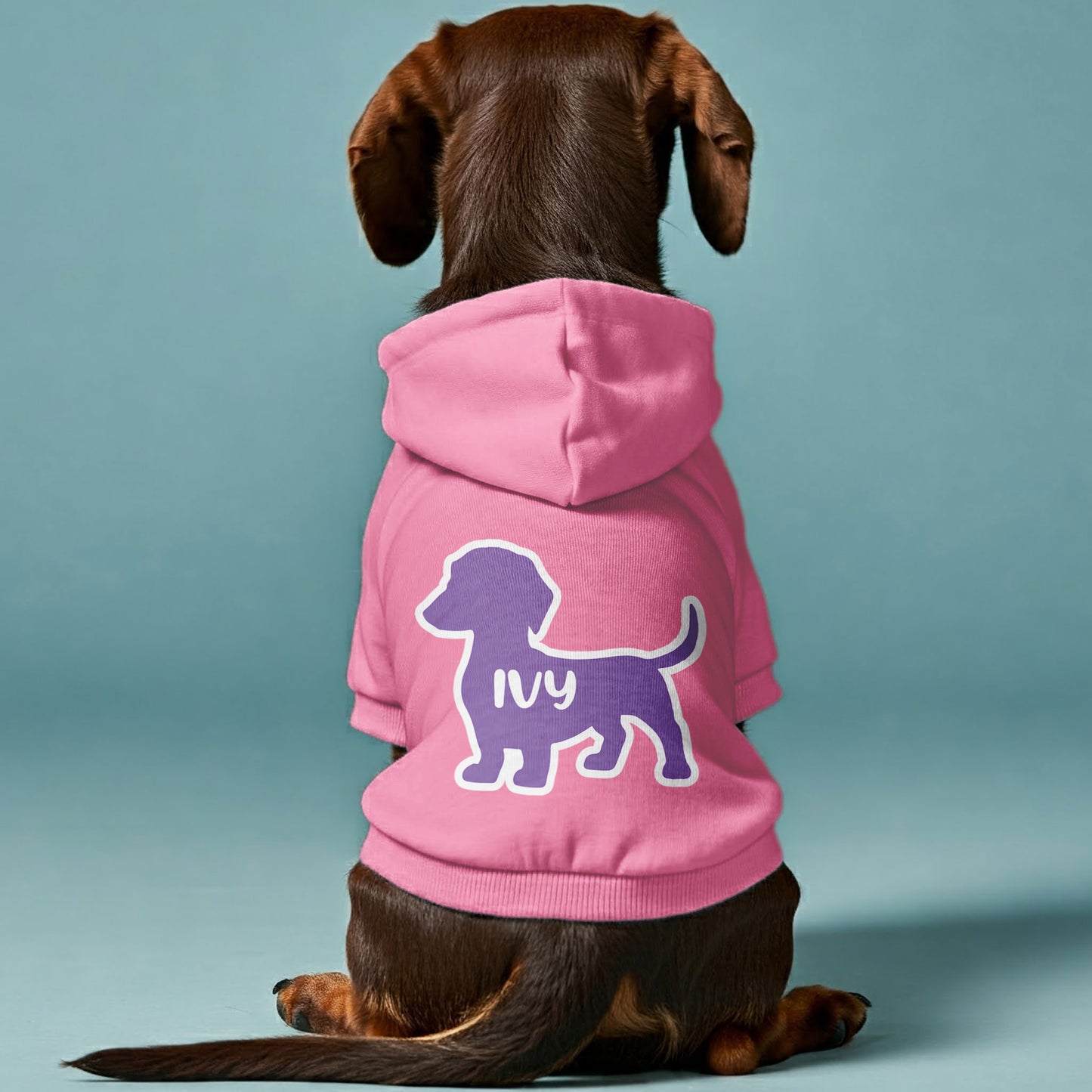 MILO - Personalized Dachshund Hoodies with your doxie name – Stylish, Cozy, and Premium 100% Cotton