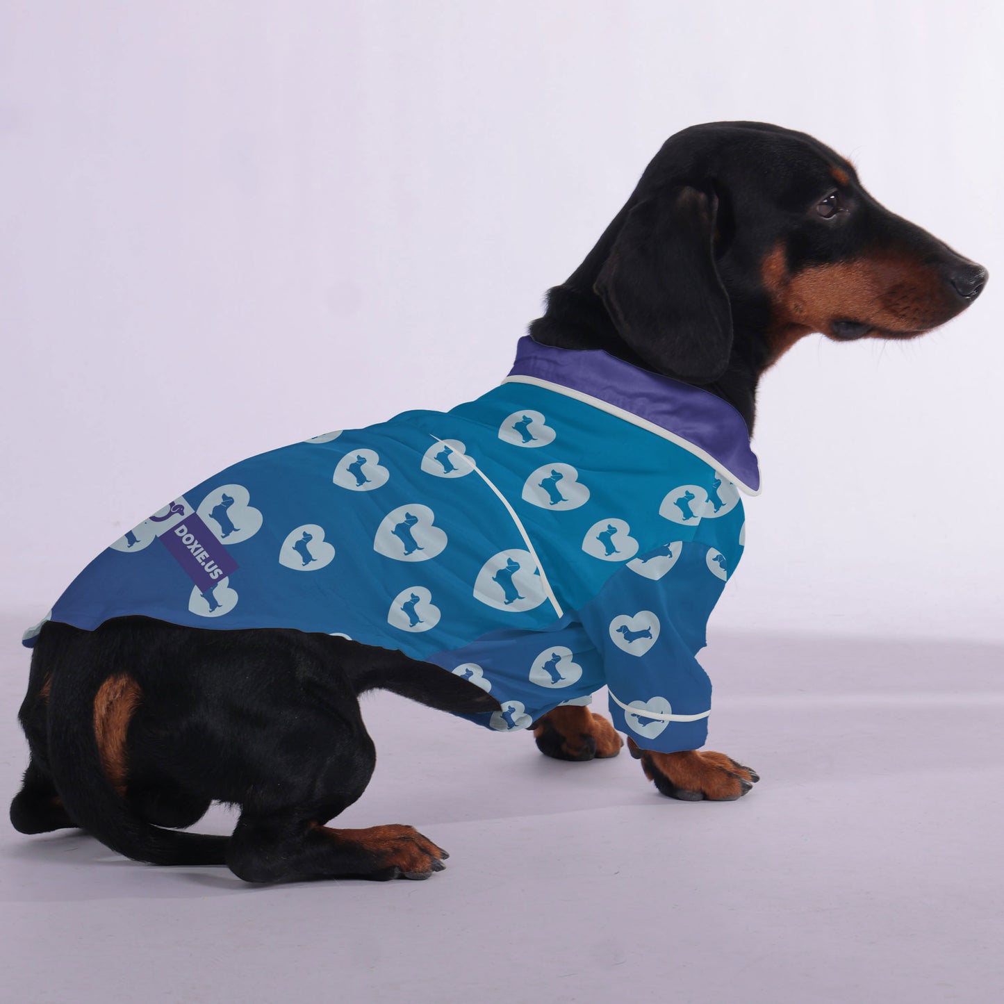 Martha -  Pajamas for Dachshund