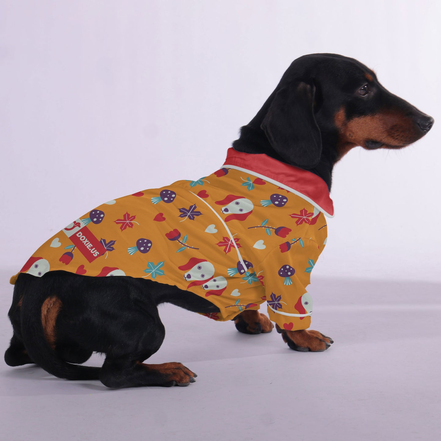 Brooklyn  -  Pajamas for Dachshund