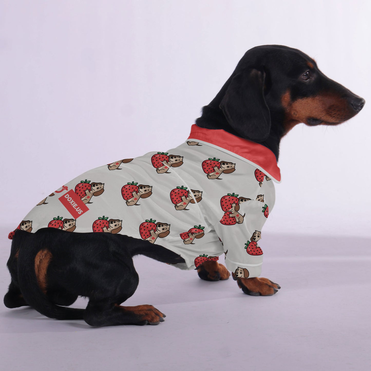 Dylan - Pajamas for Dachshund