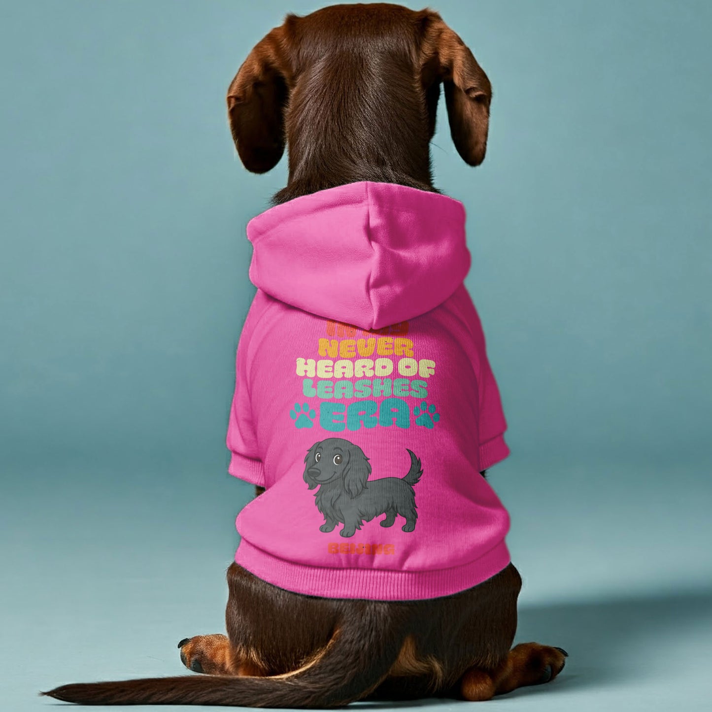 What leash– Personalized Dachshund Hoodies with Your Doxie’s Name & Clipart – Stylish, Cozy & Made from Premium 100% Cotton