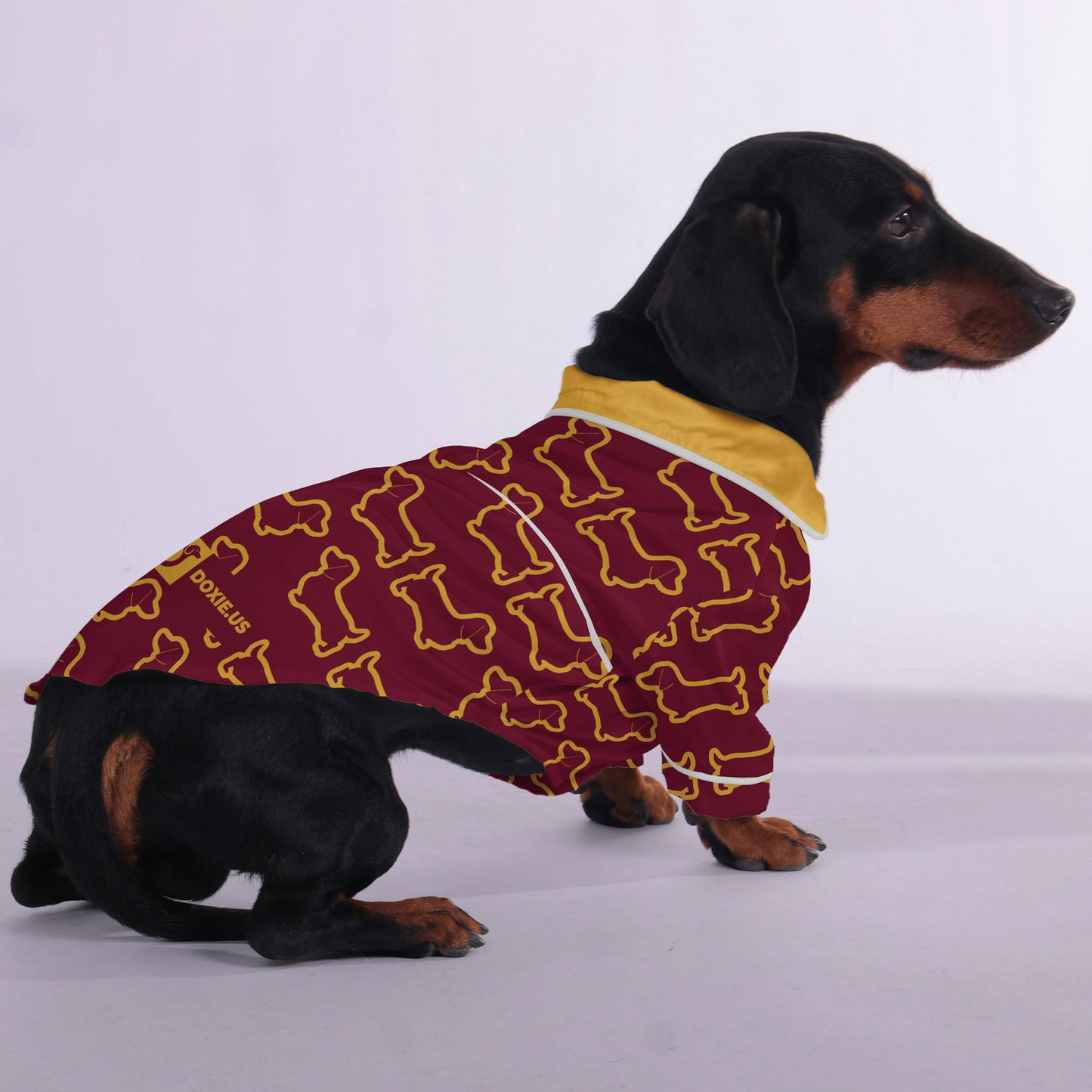 Adele -  Pajamas for Dachshund