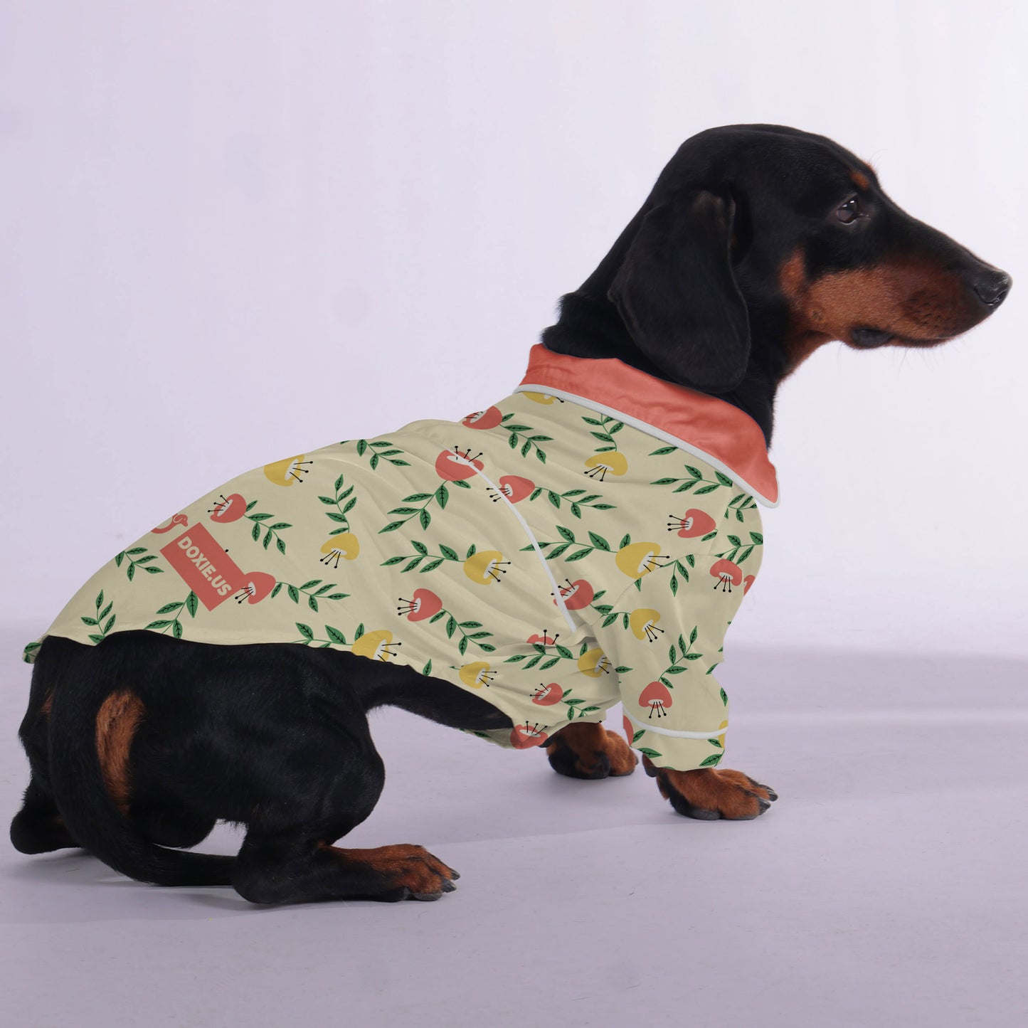 Poppy -  Pajamas for Dachshund