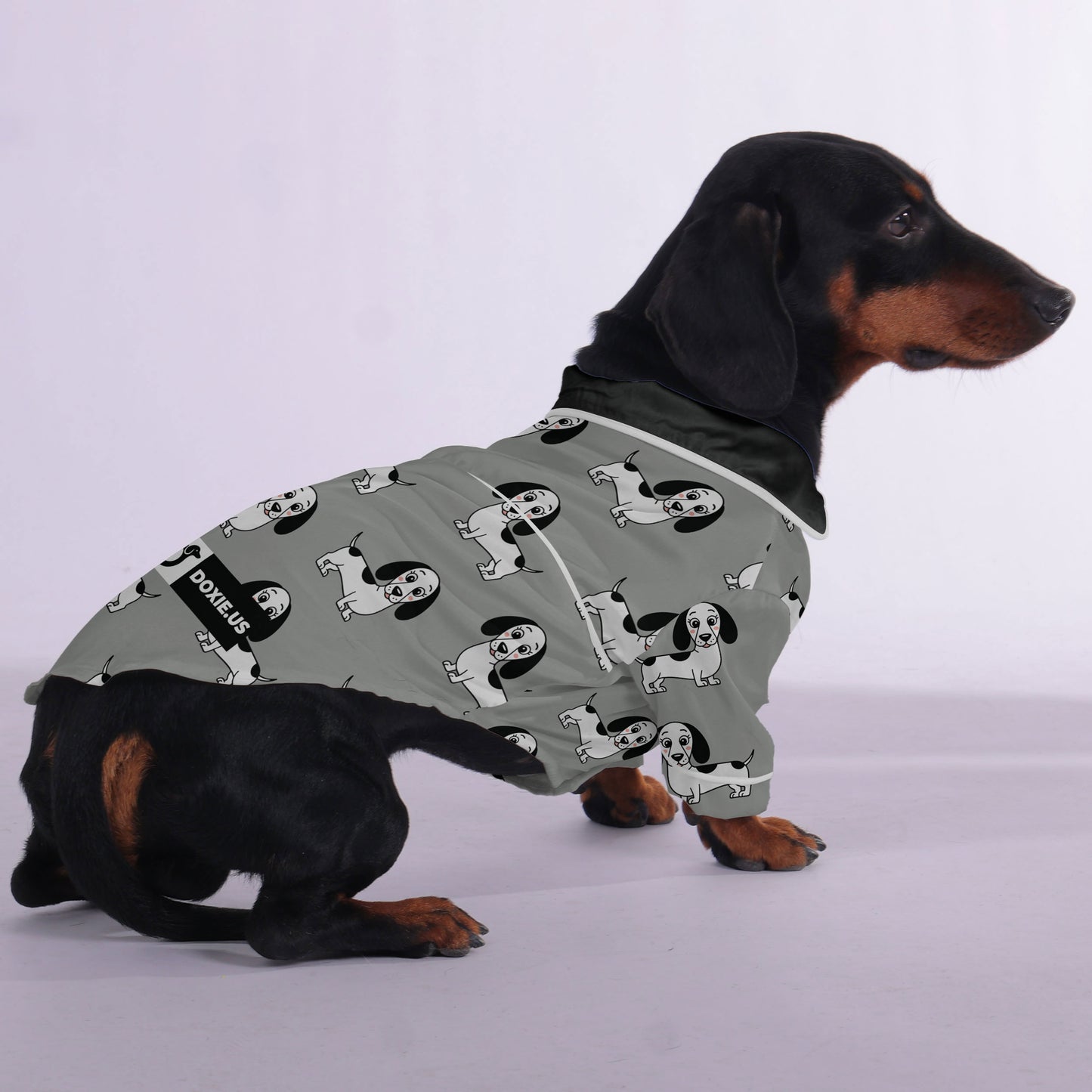 Sebastian -  Pajamas for Dachshund