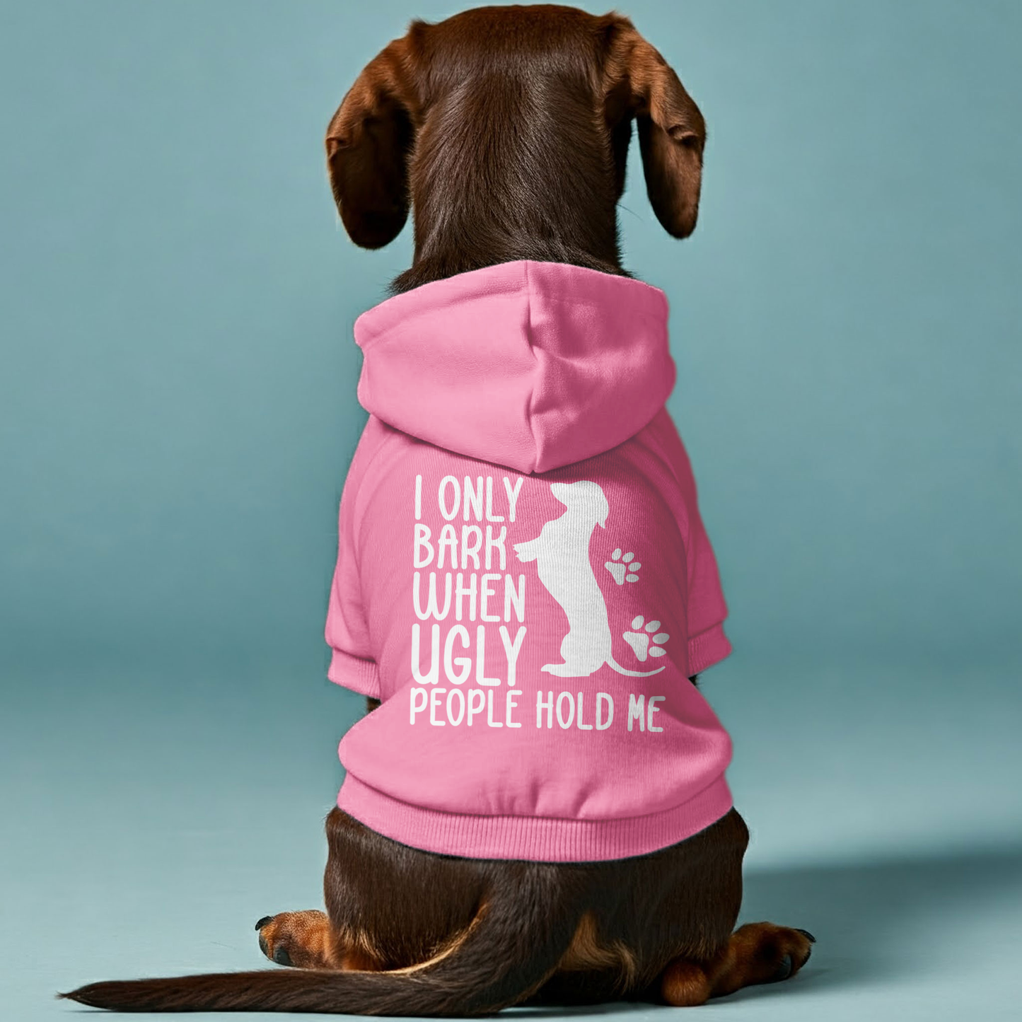 I ONLY BARK WHEN UGLY PEOPLE HOLD ME - Personalized Dachshund Hoodies with Funny Quotes – Stylish, Cozy, and Premium 100% Cotton