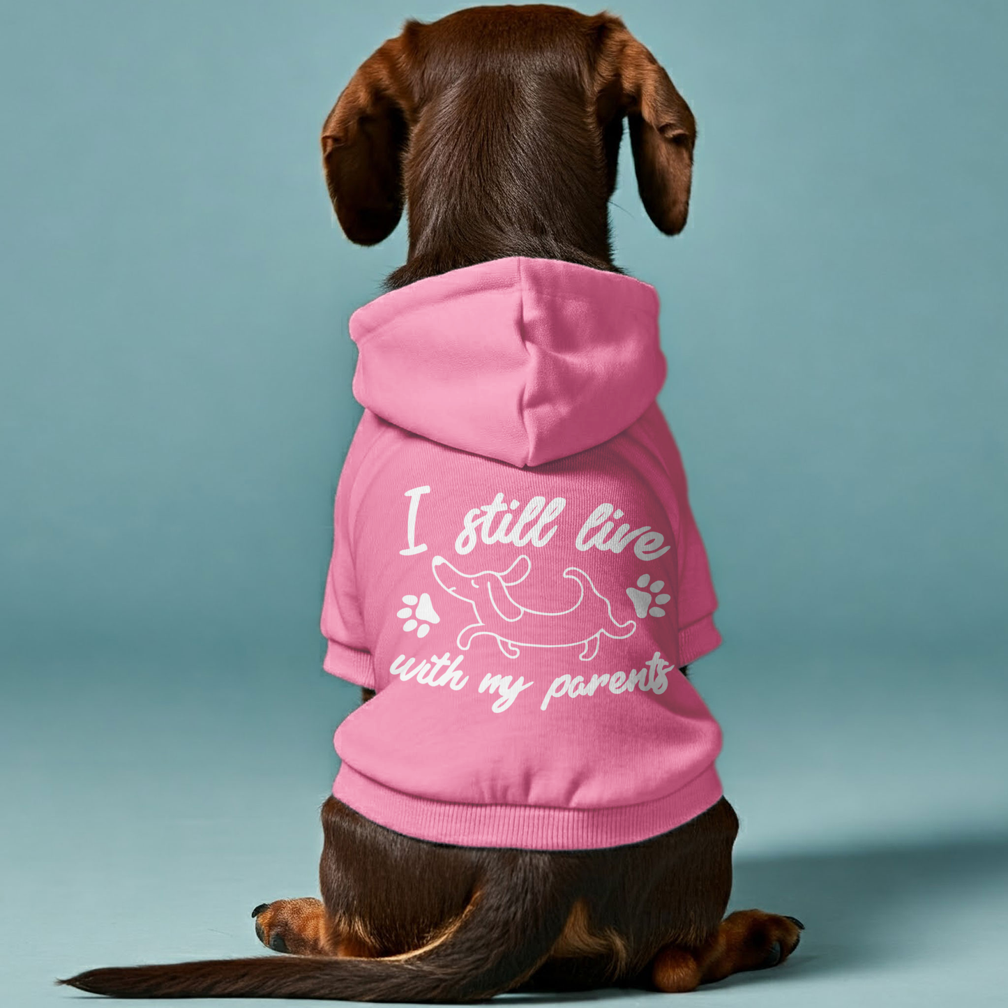 I STILL LIVE WITH MY PARENTS - Personalized Dachshund Hoodies with Funny Quotes – Stylish, Cozy, and Premium 100% Cotton