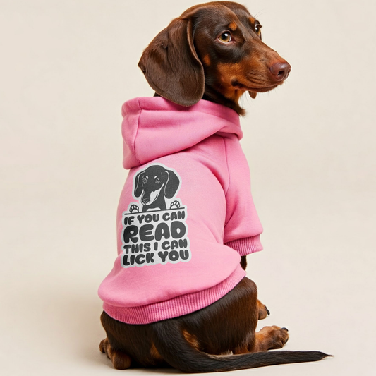 IF U CAN READ THIS - Personalized Dachshund Hoodies with Funny Quotes – Stylish, Cozy, and Premium 100% Cotton