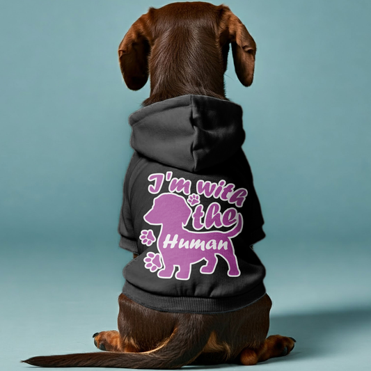 Im with Human - Personalized Dachshund Hoodies with Funny Quotes – Stylish, Cozy, and Premium 100% Cotton