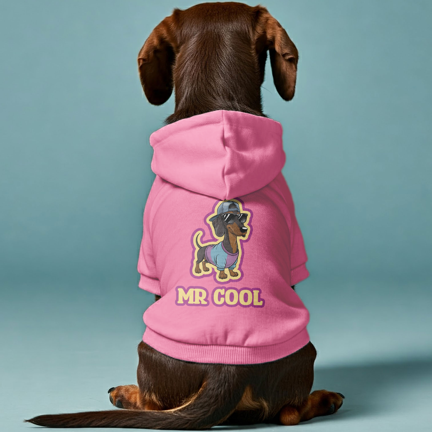 Mr COOL - Personalized Dachshund Hoodies with Funny Quotes – Stylish, Cozy, and Premium 100% Cotton